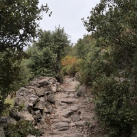 Photo de France - La randonnée des Gorges d'Héric